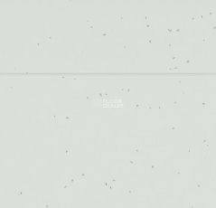 Forbo Sphera Energetic 50220 mineral фото 2 | FLOORDEALER